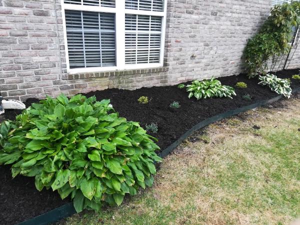 Kings Lawn Care