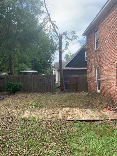 All Good Lawn & Tree Services