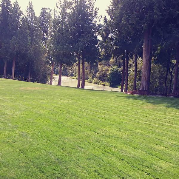 New Directions Yard & Lawn Maintenance