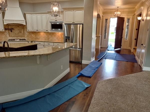 Rug Rats Carpet Cleaning
