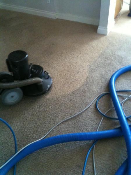 Eco-Dry Carpet Care