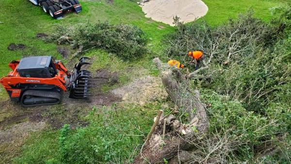 Wade's Tree Service