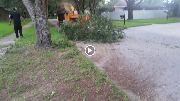 Wade's Tree Service