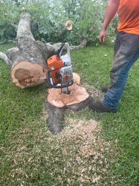 Wade's Tree Service