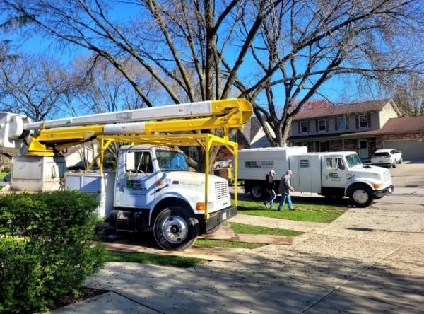 Ever Green Tree Services & Landscaping