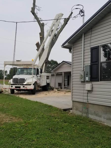 Denson Tree Service