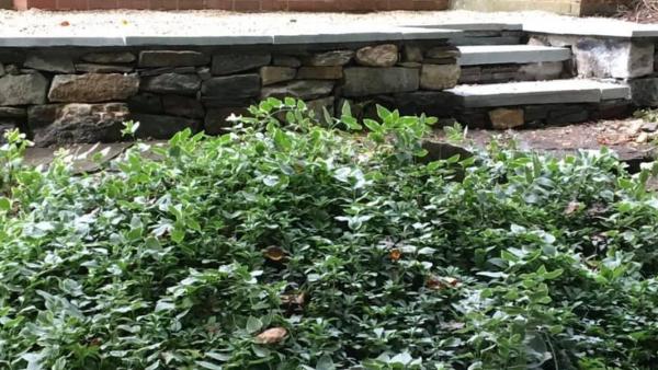 Anthony Miller Masonry