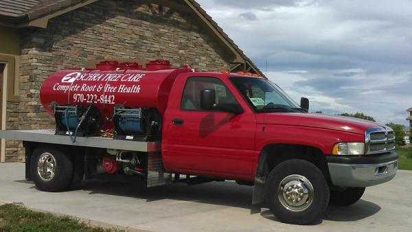 Schra Tree Care
