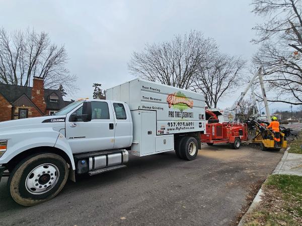 Harrison's Pro Tree Service Inc.