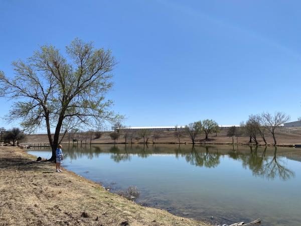 Lubbock Home Values