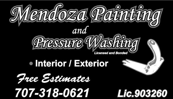 Mendoza Painting & Pressure Washing