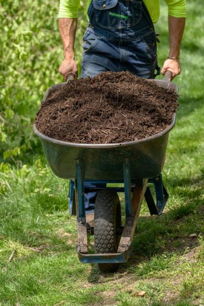 Quality Cut Lawn Care