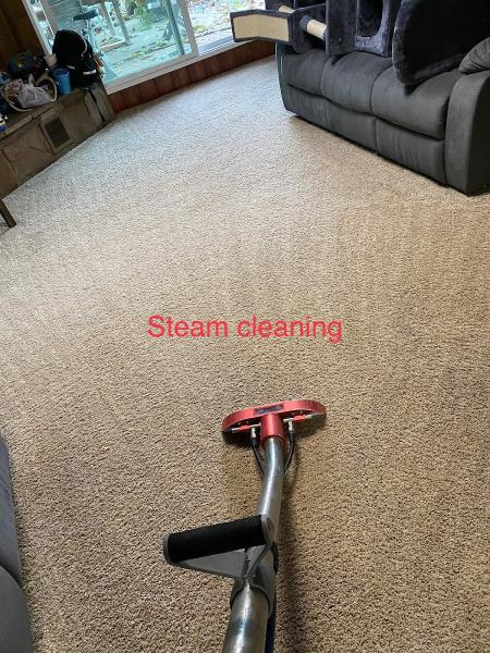 All Year Carpet Cleaning