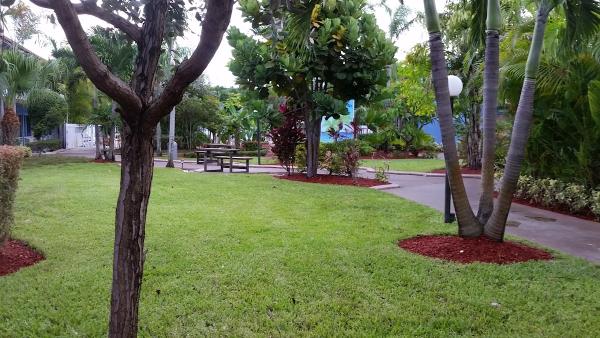 White Rose Landscaping