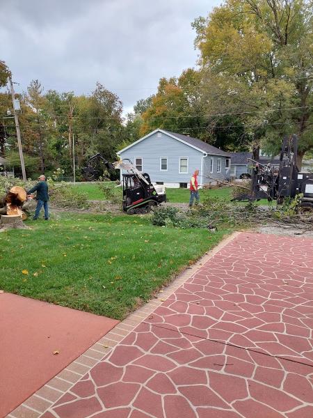 Coughlin Tree Service