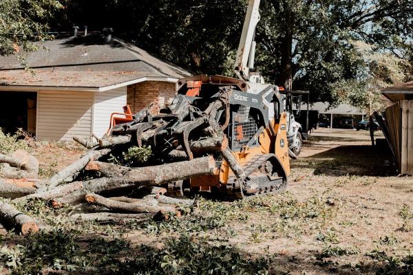 AGS Tree Services