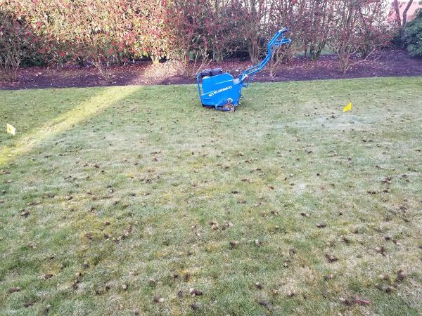 Evergreen Lawn Aeration
