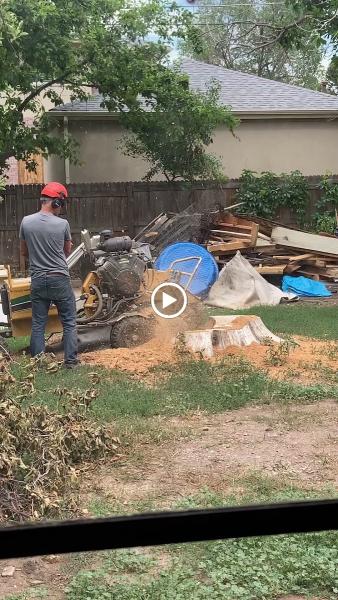 Zepp's Stump Grinding & Removal