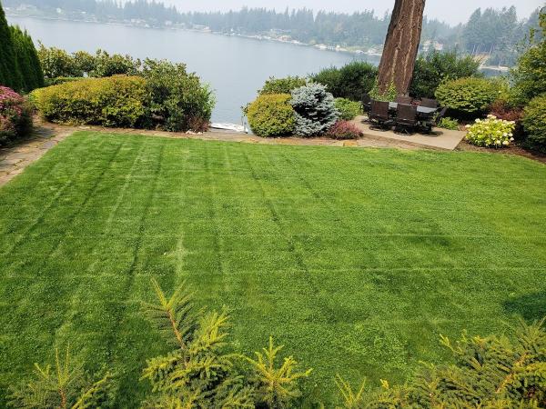 Chipo's Lawn Service