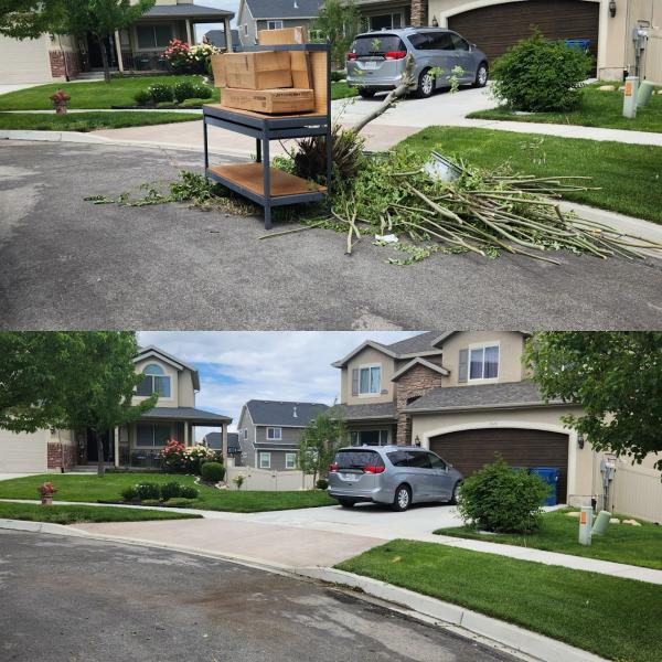 Jack's Junk Removal