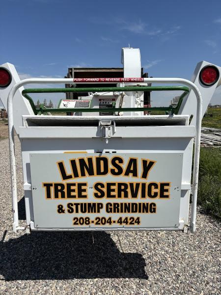 Lindsay Tree Service