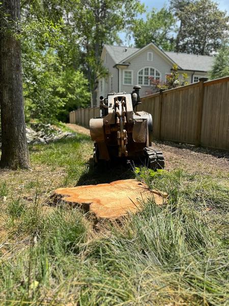 Tree Stump Masters