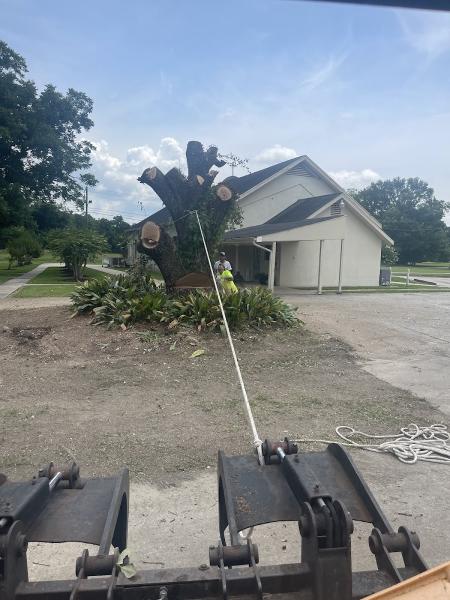 Theriot's Cajun Tree Cutters LLC