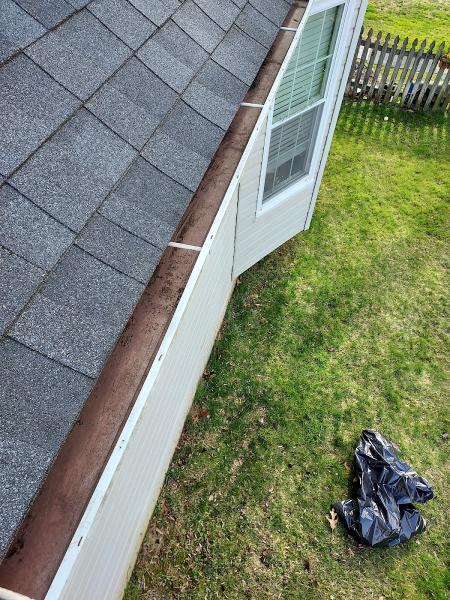 Reliable Gutter Cleaning