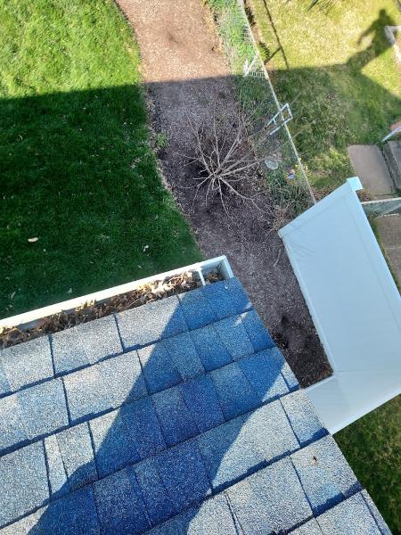 Reliable Gutter Cleaning