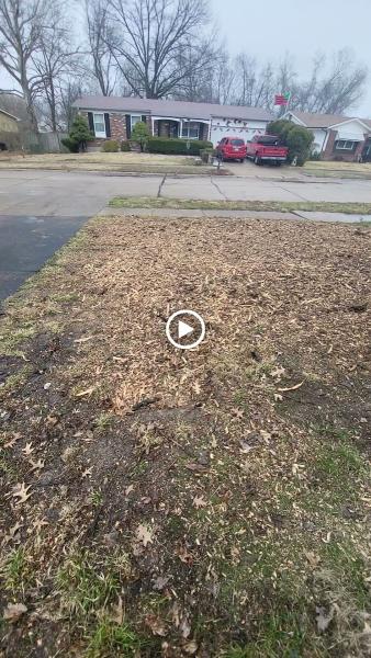 Complete Tree Service