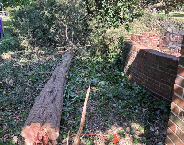 J. Averie Landscape Management