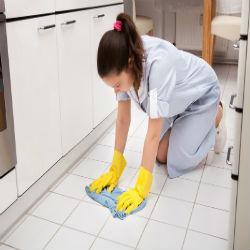Edison Home Cleaning