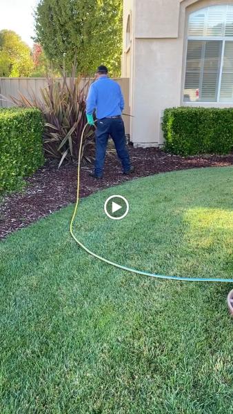 Gavilan Pest Control