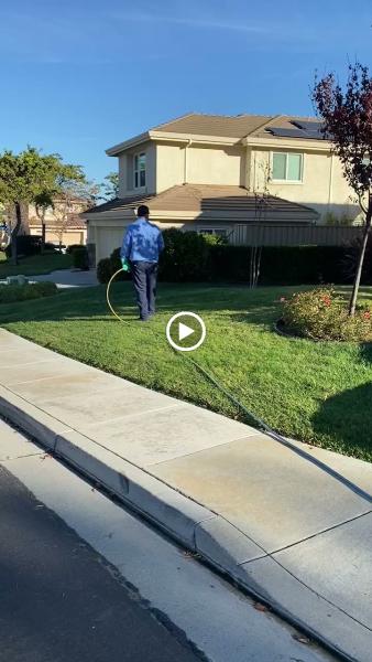 Gavilan Pest Control