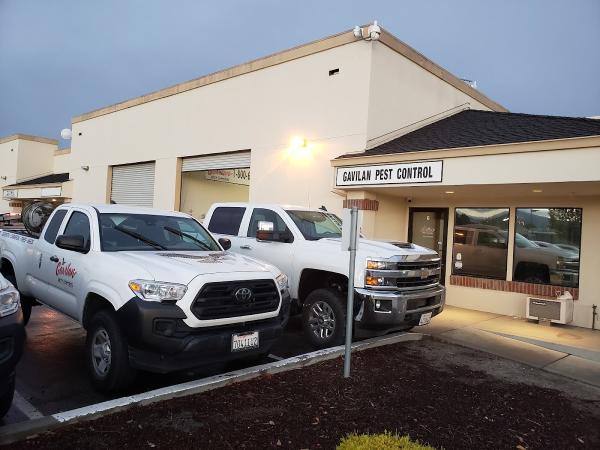 Gavilan Pest Control