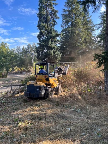 Nomad Tree Services LLC