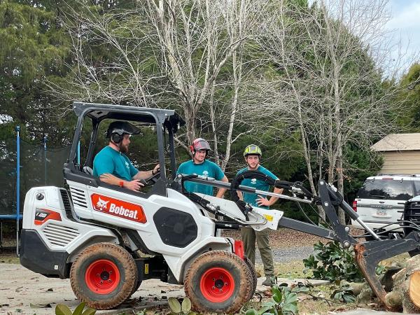 Yankee Belle Tree Works