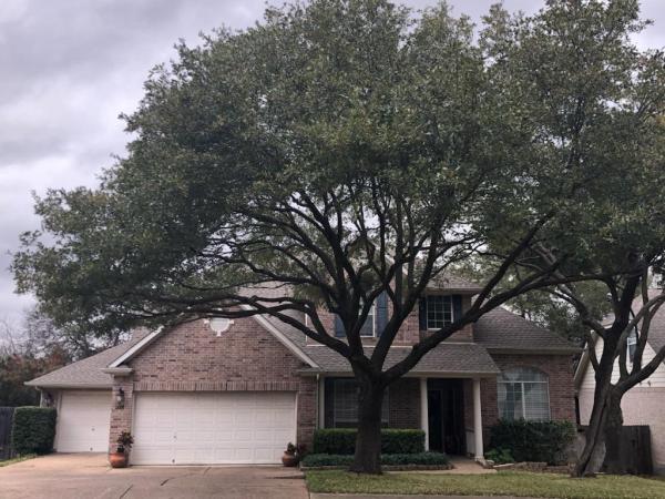 Sap Arborcare