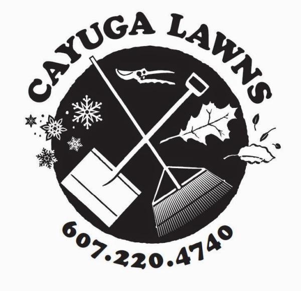 Cayuga Lawns