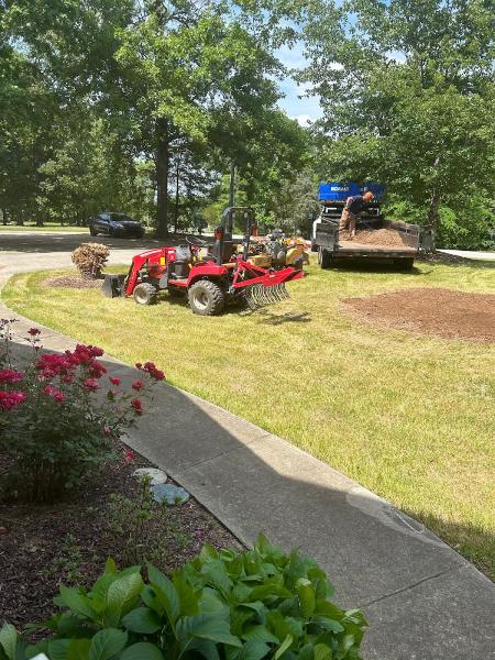 Grind and Gone Stump Grinding