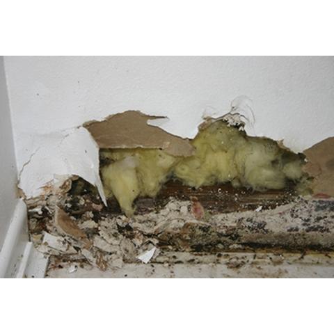 Argus Contracting