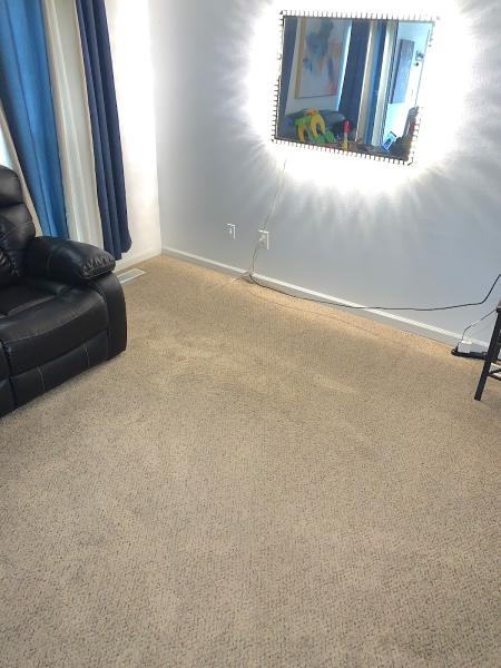 Rapid Dry Carpet Cleaning