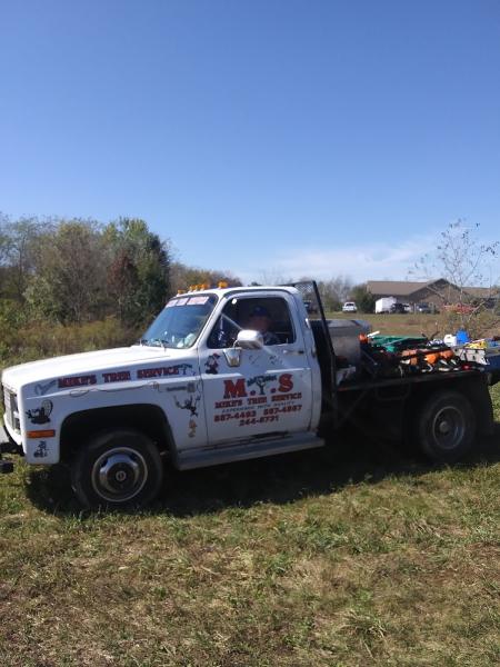 Mike's Tree and Landscaping LLC