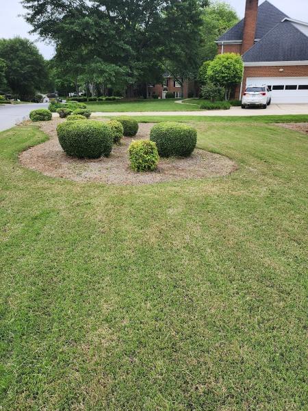 Curb Appeal Lawn Care LLC