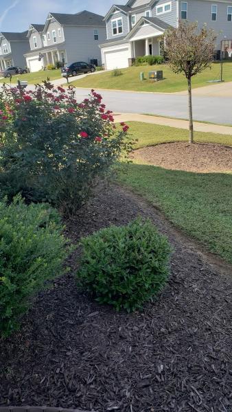 Curb Appeal Lawn Care LLC