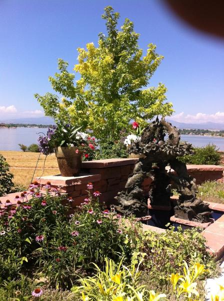 Aspen Landscape Management