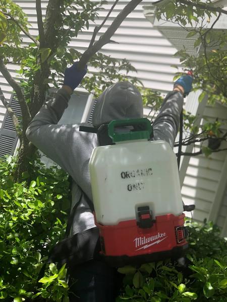 Village Exterminating