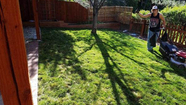 Grassbusters