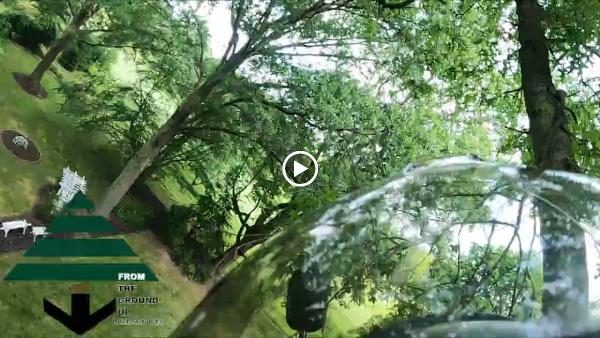 From the Ground Up Tree Services