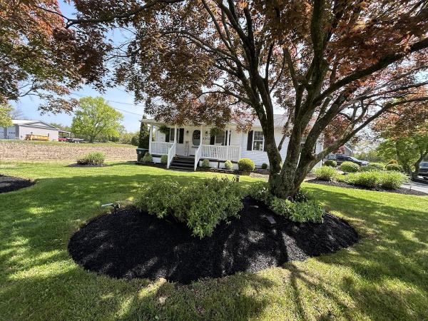 L&G Landscaping and Tree Services LLC